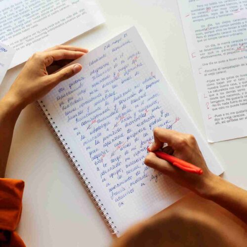 Essay Nivel Avanzado ICPNA